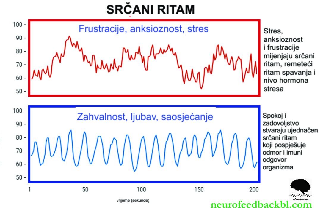 srcani ritam